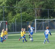 Foto's 12 juni mini's, JO8 en JO9 