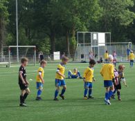 Foto's 12 juni mini's, JO8 en JO9 