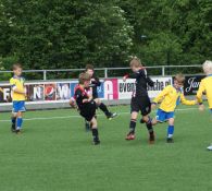 Foto's 12 juni mini's, JO8 en JO9 