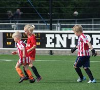 Foto's 12 juni mini's, JO8 en JO9 