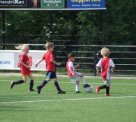 Foto's 12 juni mini's, JO8 en JO9 