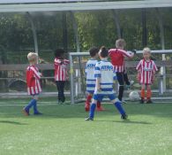 Foto's 12 juni mini's, JO8 en JO9 