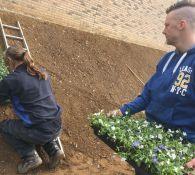 Talud wordt beplant door 