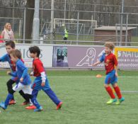 ProData Champions League on TOUR (Update 3-4-2015)